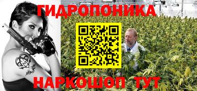 a pvp Краснокаменск