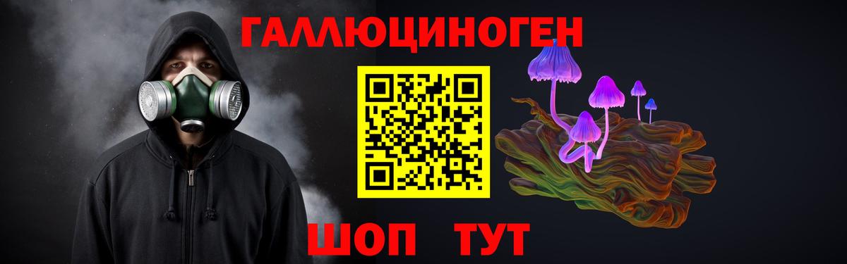 Галлюциногенные грибы GOLDEN TEACHER  Псилоцибиновые грибы Magic Shrooms  Канаш  Вход с VPN 
